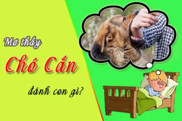 Nằm mơ thấy chó cắn đánh con gì?