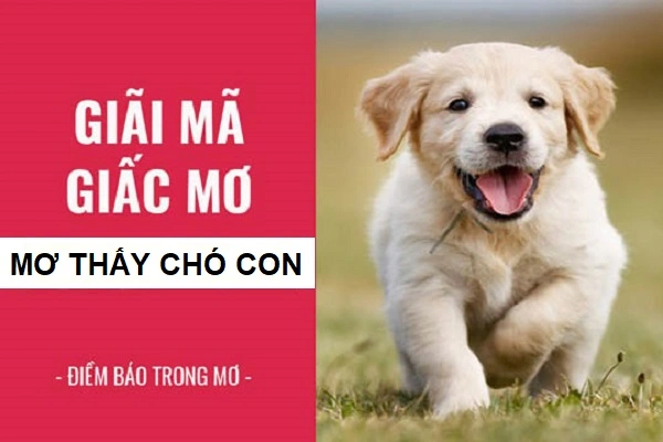 Giải mã giấc mơ thấy chó con