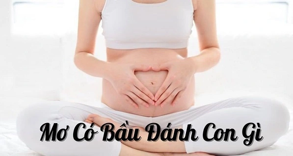 Mơ thấy có bầu đánh con gì may mắn