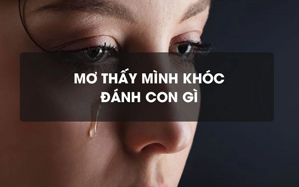 Nằm mơ thấy mình khóc đánh con gì may mắn