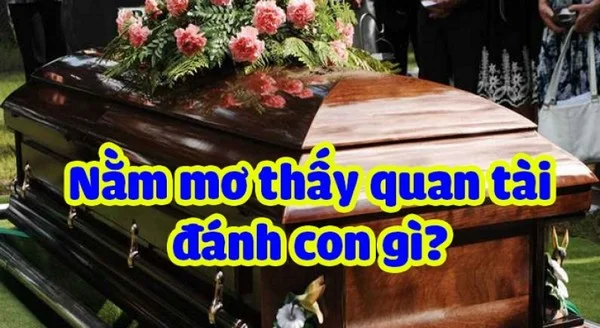 Giấc mơ thấy quan tài không hẳn lúc nào cũng mang đến điềm xấu, xui rủi