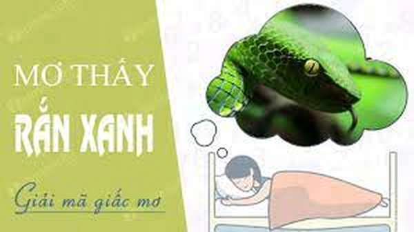 Mơ thấy rắn xanh đánh con gì