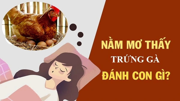 Đánh con lô đề nào khi mơ thấy trứng gà thì trúng lớn?