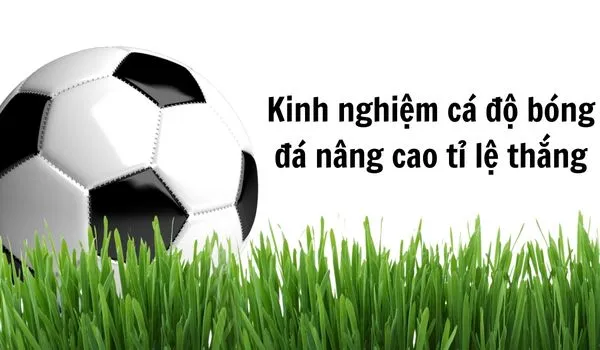 Kinh nghiệm cá độ tỷ lệ thắng cao