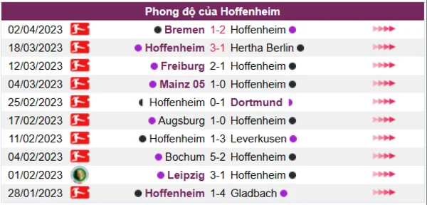 Nhận định phong độ CLB Hoffenheim